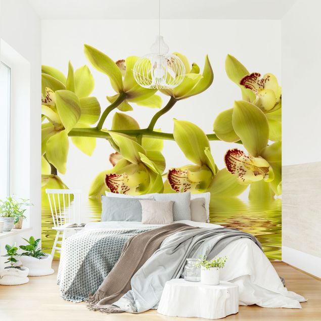Papel pintado flores Splendid Orchid Waters