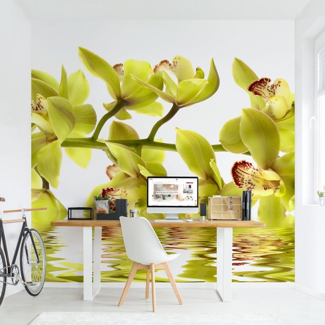 Papeles pintados modernos Splendid Orchid Waters