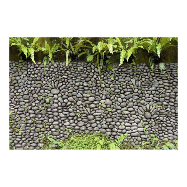 Papel de pared Stone Wall With Plants