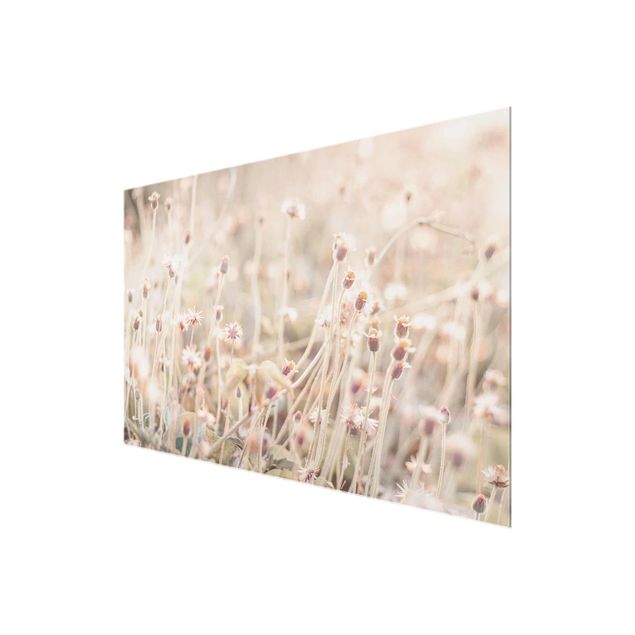 Tableros magnéticos de vidrio Flowering Meadow In the Sun