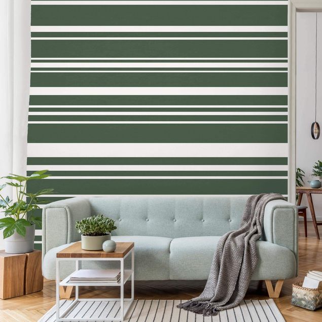 Papel pintado a rayas Stripes On Green Backdrop