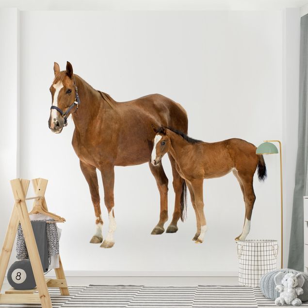 Papel pintado salón moderno Mare & Foal