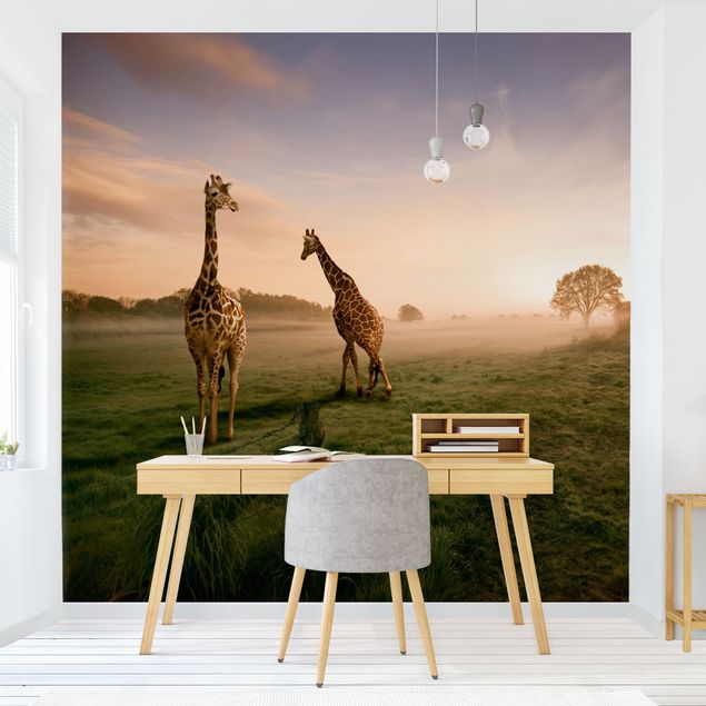 Decoración de cocinas Surreal Giraffes