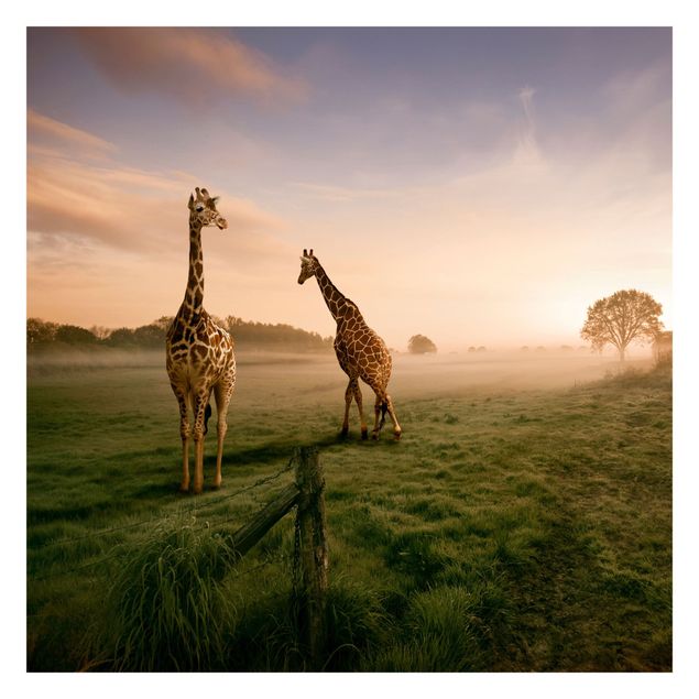 Papel pintado paisajes Surreal Giraffes