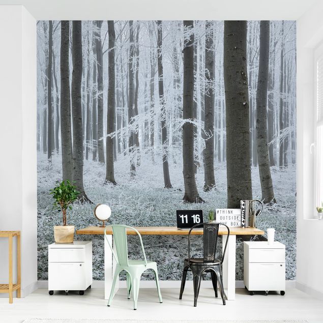 Papel pared paisaje Beeches With Hoarfrost
