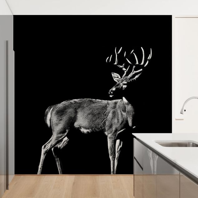 Papel pintado en blanco y negro Deer In The Dark