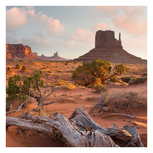 Cuadros Mirau Monument Valley Navajo Tribal Park Arizona