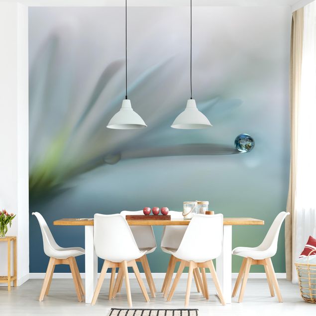 Papel pintado salón moderno Dewdrops On White Blossom