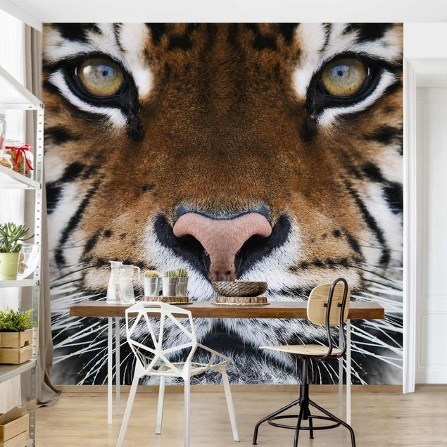 Papel pintado tigres Tiger Eyes
