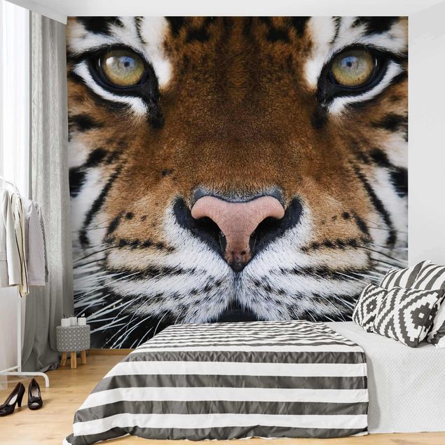 Papel pintado animales Tiger Eyes