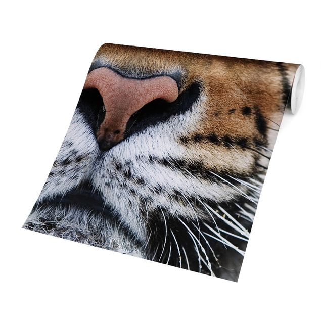 Papel pintado marrón Tiger Eyes