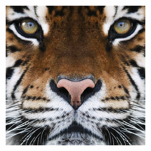 Papel pintado Tiger Eyes