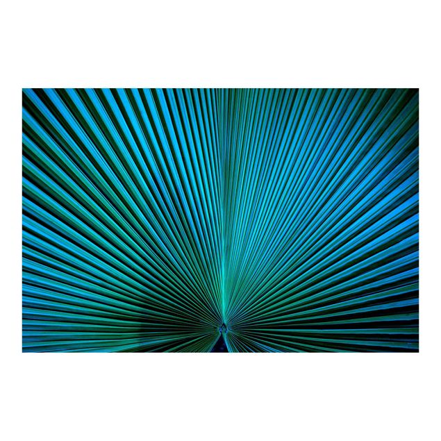 Papeles pintados Tropical Plants Palm Leaf In Turquoise ll