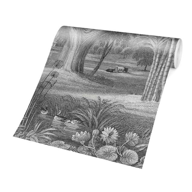 Papel pintado tonos grises Tropical Copperplate Engraving Garden With Pond In Grey