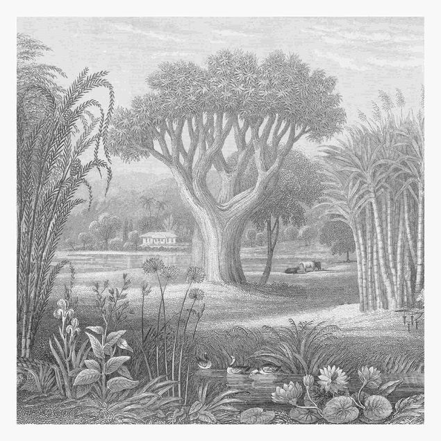 Papeles pintados Tropical Copperplate Engraving Garden With Pond In Grey