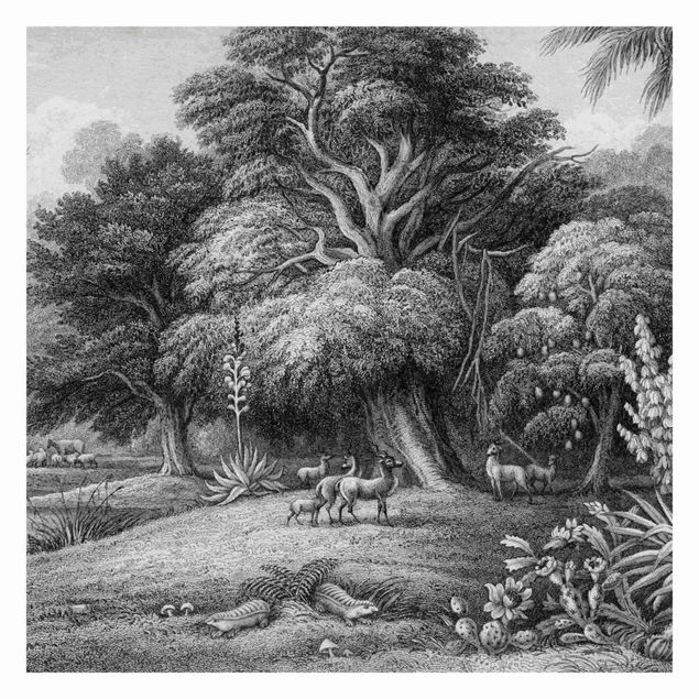 Papel de pared Tropical Copperplate Engraving In Warm Grey