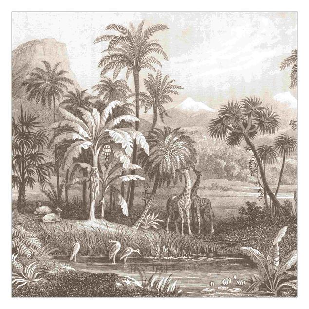 Papel pared vintage Tropical Copperplate Engraving With Giraffes In Brown