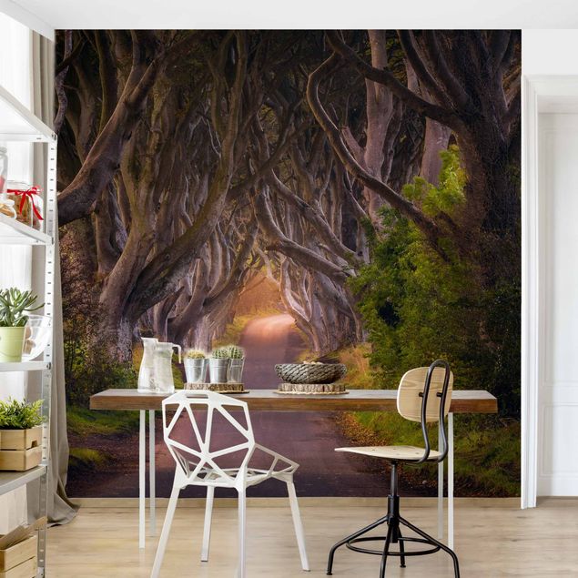 Papel pared 3d Tunnel Of Trees