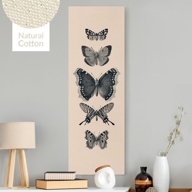 Decoración en la cocina Ink Butterflies On Beige Backdrop