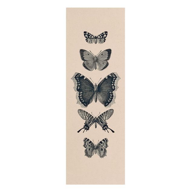 Cuadros modernos y elegantes Ink Butterflies On Beige Backdrop