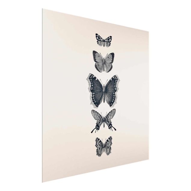 Cuadros modernos Ink Butterflies On Beige Backdrop