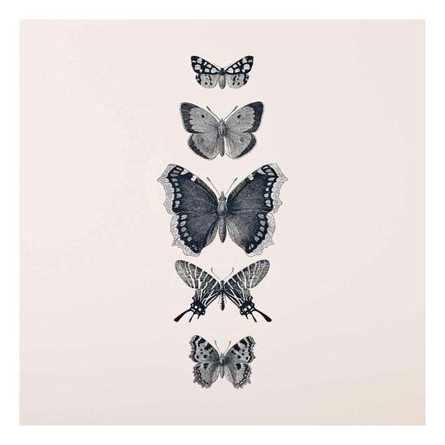 Cuadros de animales Ink Butterflies On Beige Backdrop