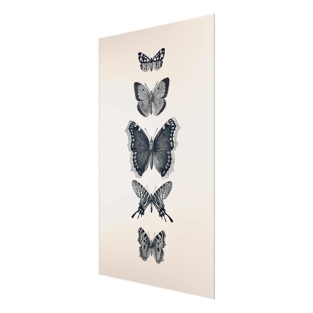 Cuadros grises Ink Butterflies On Beige Backdrop