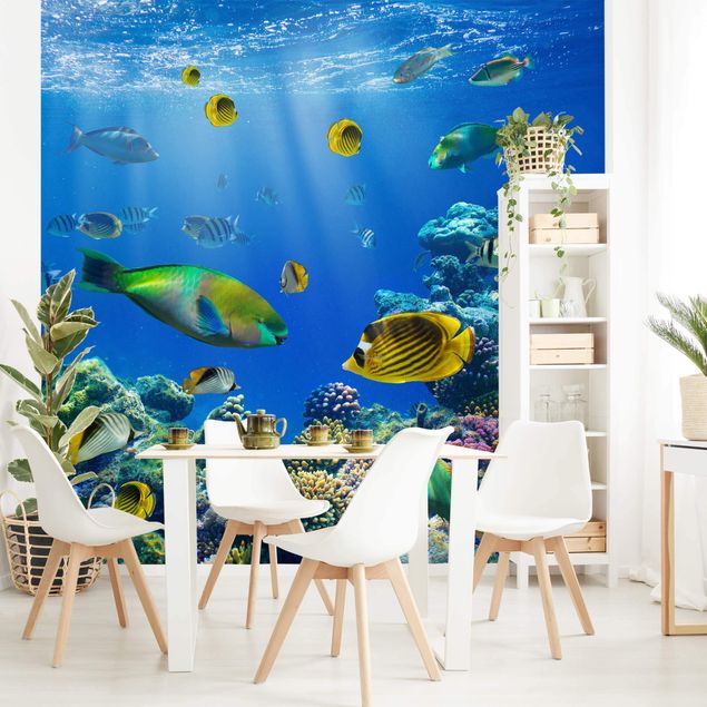 Papel pintado peces Underwater Lights