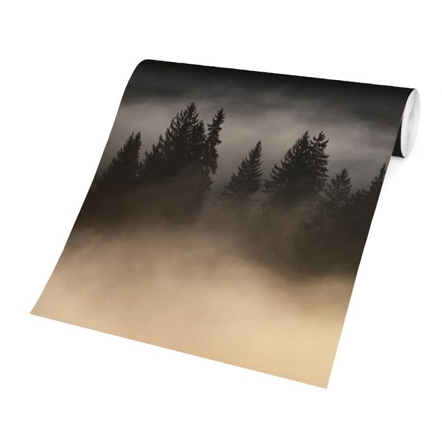 Papel pintado negro Dreamy Foggy Forest