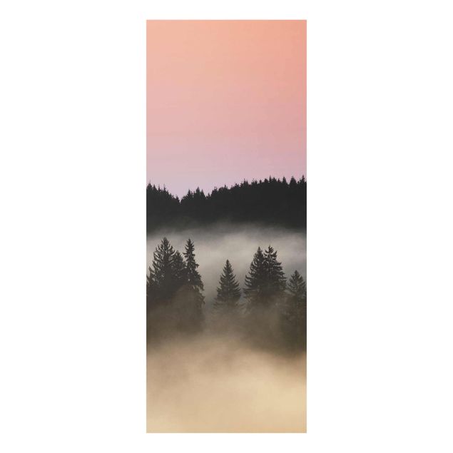 Cuadros naturaleza Dreamy Foggy Forest