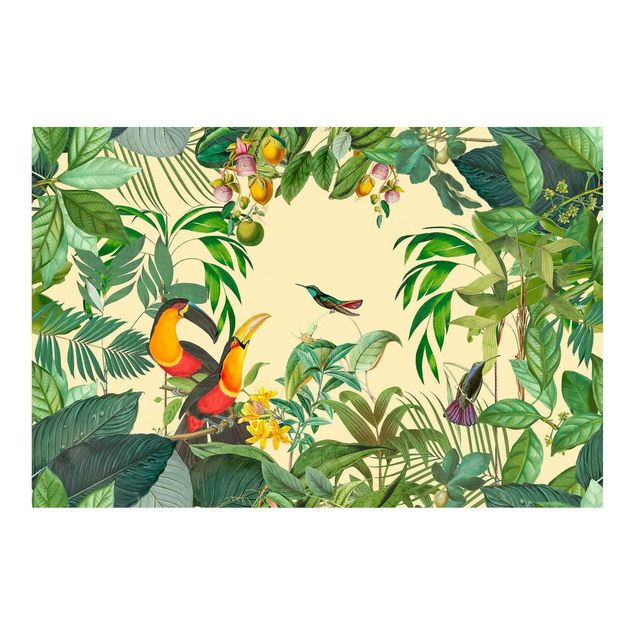 Cuadros Haase Vintage collage - birds in the jungle