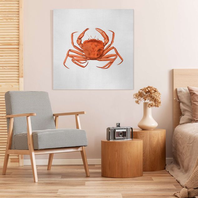 Cuadros peces Vintage Illustration Red Crab