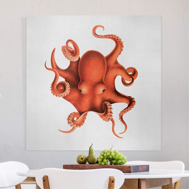 Lienzos de peces Vintage Illustration Red Octopus