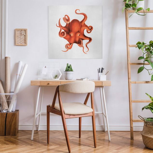 Cuadros de peces modernos Vintage Illustration Red Octopus