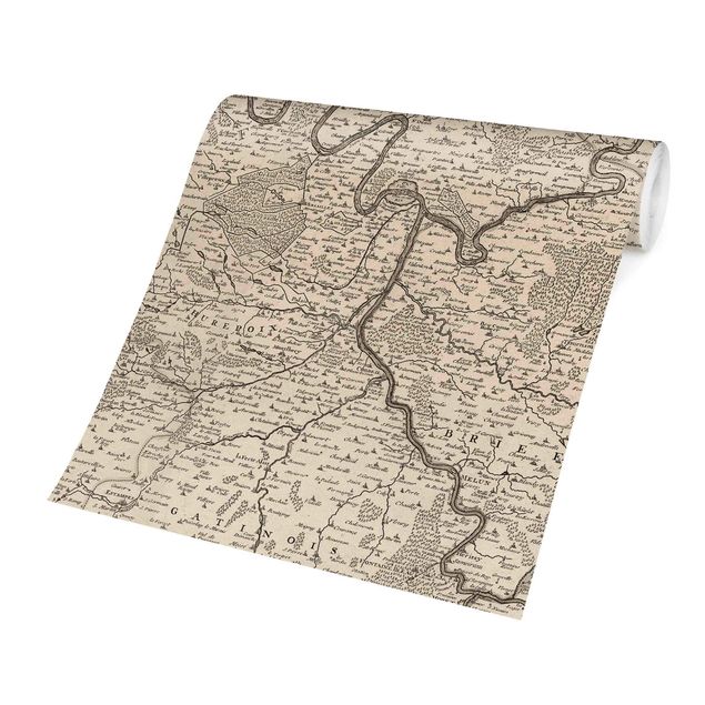 Papel pintado tonos beige Vintage Map France