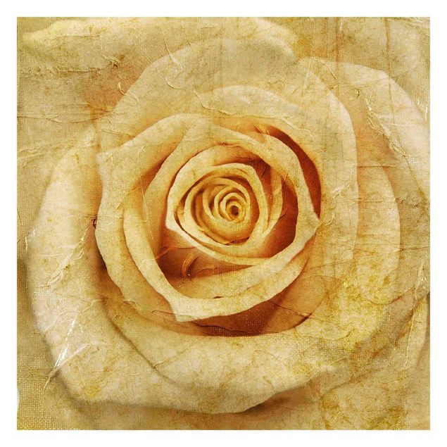 Papel de pared Vintage Rose