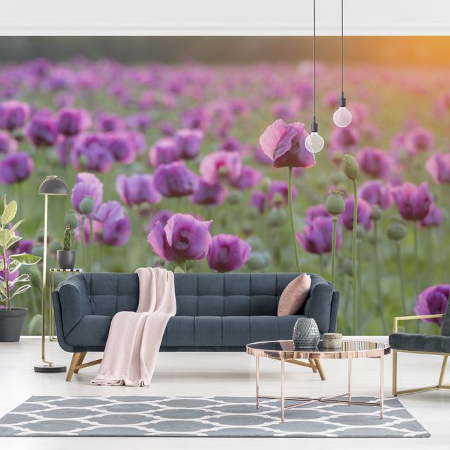Papel pintado amapolas Purple Poppy Flower Meadow In Spring