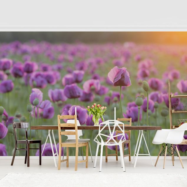 Papel pintado salón moderno Purple Poppy Flower Meadow In Spring