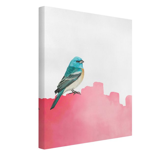 Cuadros modernos Bird On Pink Backdrop
