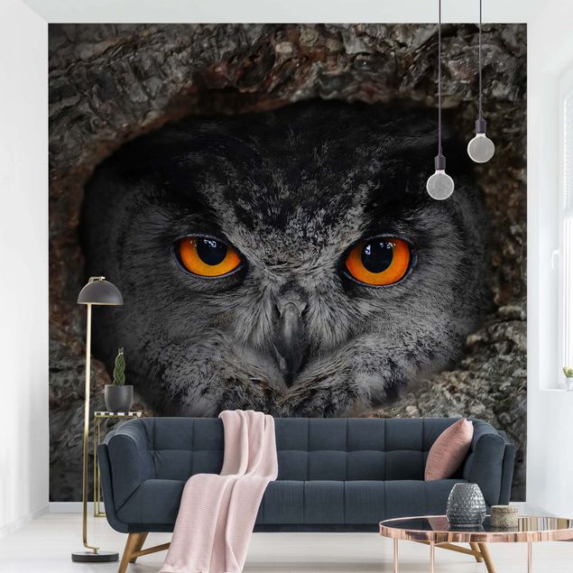 Decoración en la cocina Watching Owl
