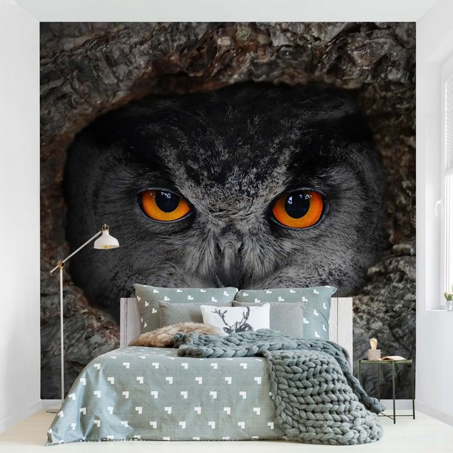 Papel pintado aves Watching Owl