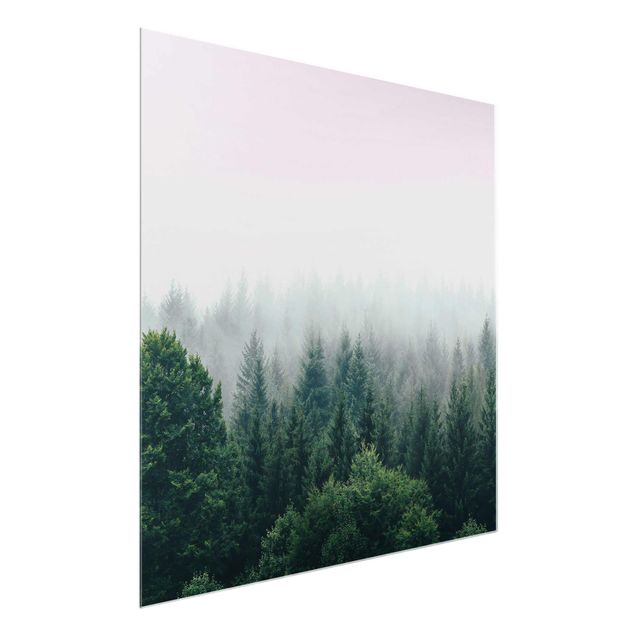 Cuadros de cristal paisajes Foggy Forest Twilight