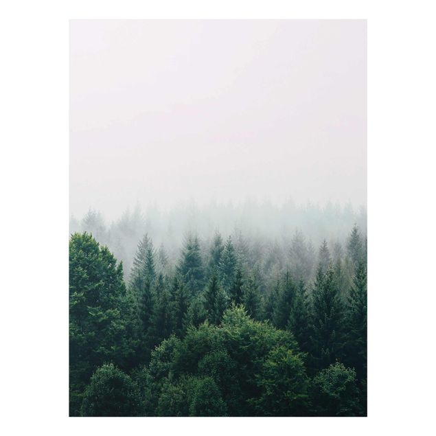 Cuadros de naturaleza Foggy Forest Twilight