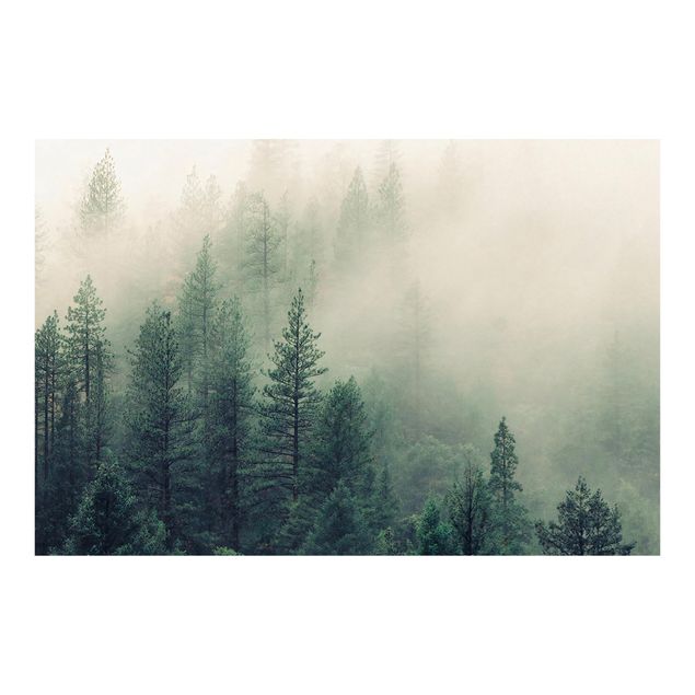 Papel pintado Foggy Forest Awakening