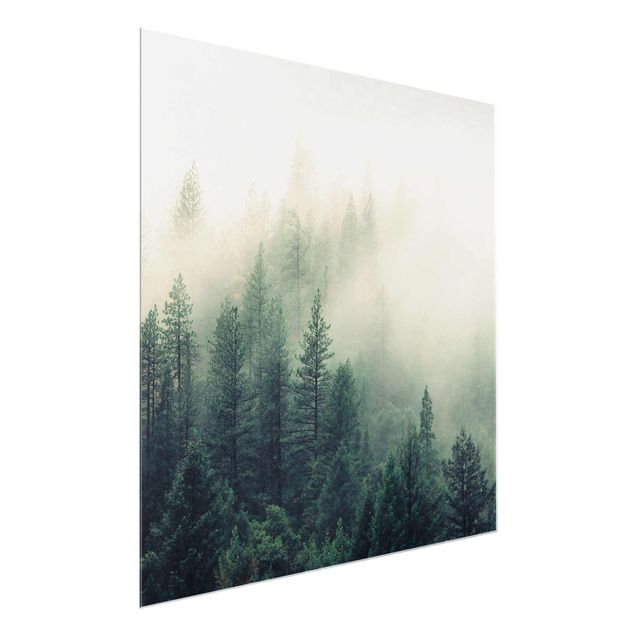Cuadros de cristal paisajes Foggy Forest Awakening