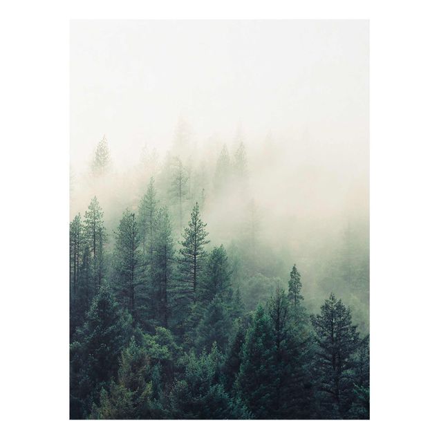 Cuadros de naturaleza Foggy Forest Awakening
