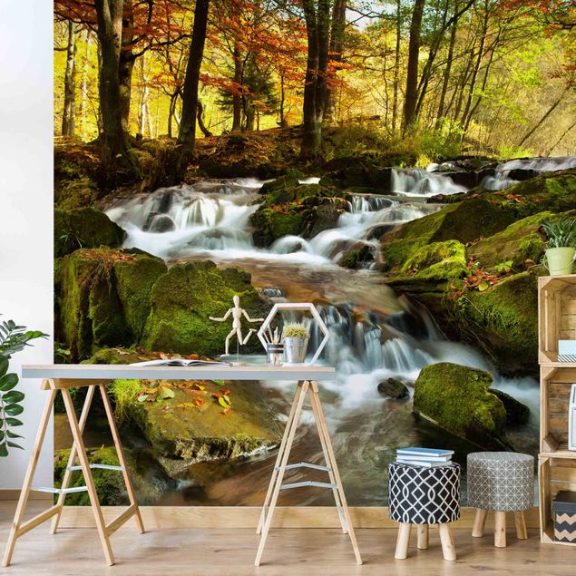 Papel pintado salón moderno Waterfall Autumnal Forest