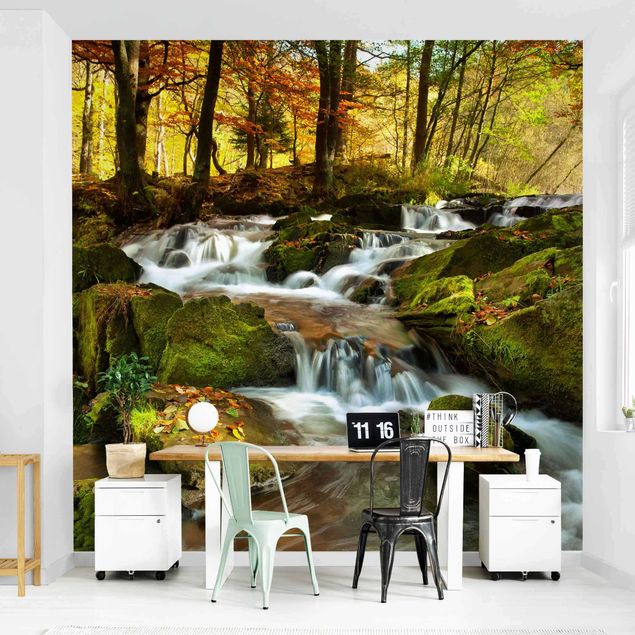 Papel pared paisaje Waterfall Autumnal Forest