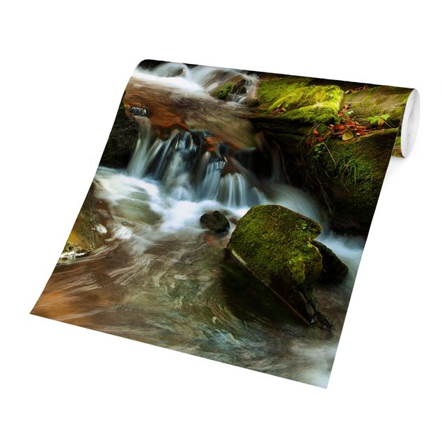 Papel pared bosque Waterfall Autumnal Forest