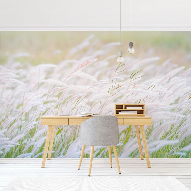 Papel pintado salón moderno Soft Grasses